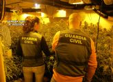 La Guardia Civil desarticula en San Javier un grupo delictivo dedicado al cultivo ilícito de marihuana