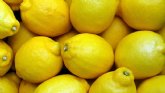 ASAJA Murcia califica como “inadmisible e intolerable” la no reducción de módulos del IRPF al sector del limón