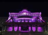 La Asamblea Regional se iluminar de morado con motivo del Da Mundial del Lupus