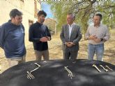 Descubren en el yacimiento de Quibas el esqueleto de lince ibérico más completo y antiguo del mundo