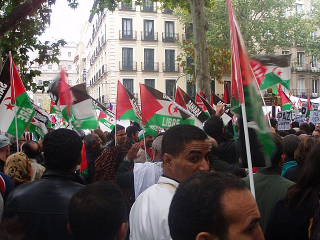 Un grupo de totaneros particip en la manifestacin a favor de Shara - 15