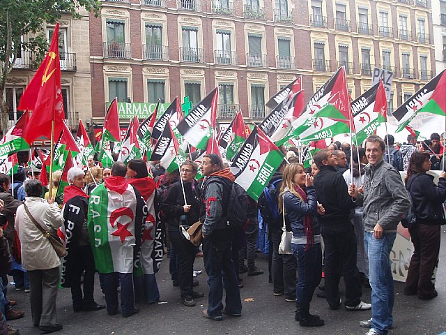 Un grupo de totaneros particip en la manifestacin a favor de Shara - 17