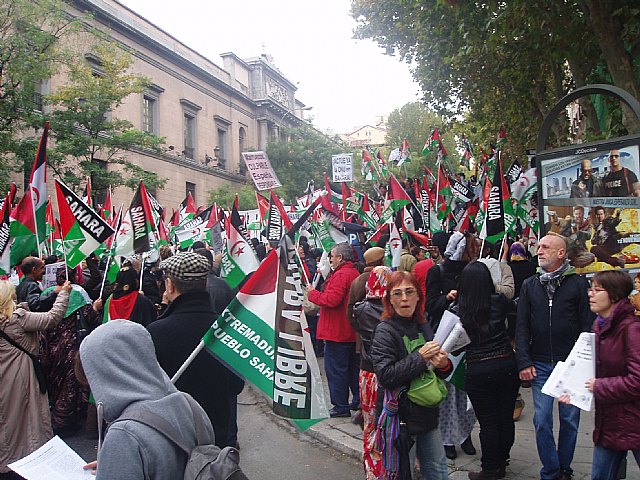 Un grupo de totaneros particip en la manifestacin a favor de Shara - 18