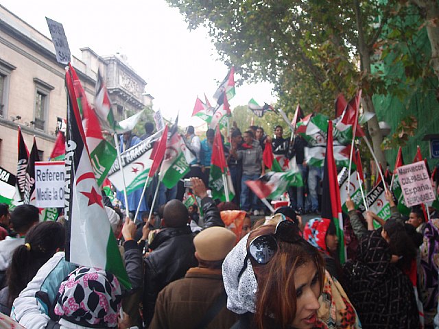 Un grupo de totaneros particip en la manifestacin a favor de Shara - 19