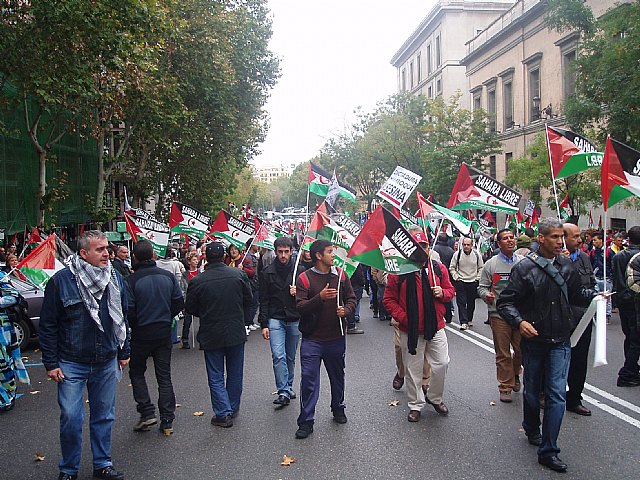 Un grupo de totaneros particip en la manifestacin a favor de Shara - 21