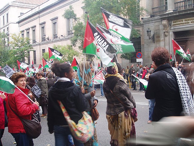 Un grupo de totaneros particip en la manifestacin a favor de Shara - 22