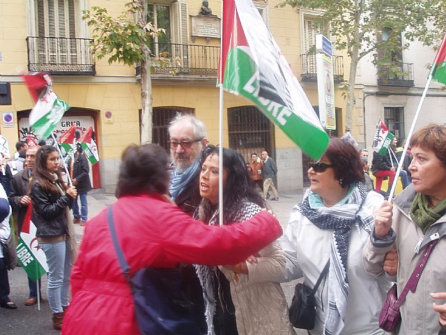 Un grupo de totaneros particip en la manifestacin a favor de Shara - 26