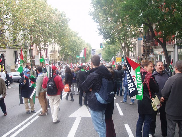 Un grupo de totaneros particip en la manifestacin a favor de Shara - 28