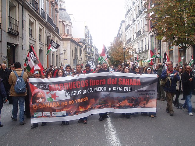 Un grupo de totaneros particip en la manifestacin a favor de Shara - 44