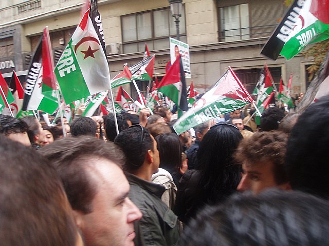 Un grupo de totaneros particip en la manifestacin a favor de Shara - 46