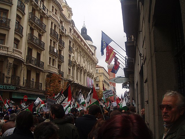 Un grupo de totaneros particip en la manifestacin a favor de Shara - 48
