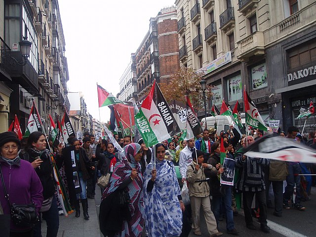 Un grupo de totaneros particip en la manifestacin a favor de Shara - 55