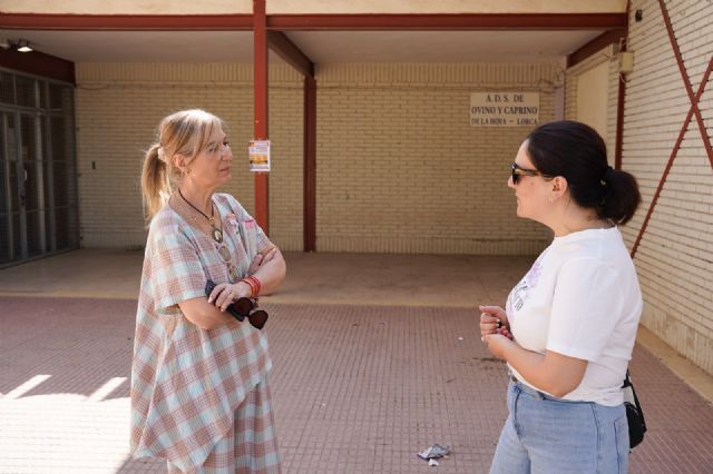 La Concejalía de Vertebración del Territorio mejora el entorno del antiguo colegio de La Hoya y avanza en su recuperación La Concejalía de Vertebración del Territorio mejora el entorno del antiguo colegio de La Hoya y avanza en su recuperación