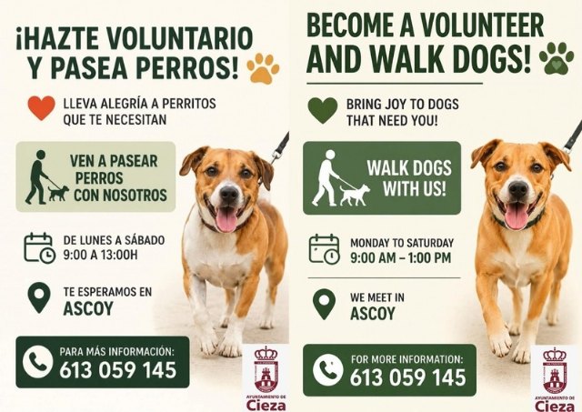 Hazte voluntario y pasea perros Hazte voluntario y pasea perros