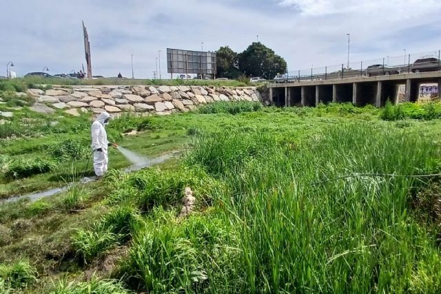 El Ayuntamiento de Cartagena refuerza los trabajos de control de plagas tras el incremento de insectos El Ayuntamiento de Cartagena refuerza los trabajos de control de plagas tras el incremento de insectos