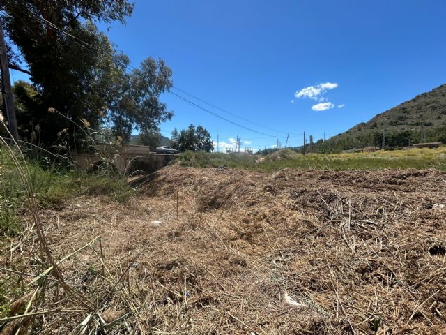 El Ayuntamiento de Blanca realiza tareas de desbroce y limpieza en la rambla junto al Polígono Industrial San Roque El Ayuntamiento de Blanca realiza tareas de desbroce y limpieza en la rambla junto al Polígono Industrial San Roque