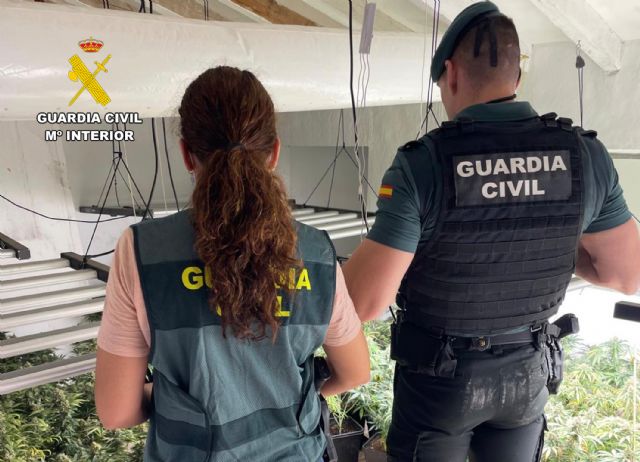 Desmantelan en Abanilla un grupo delictivo que cultivaba gran cantidad de marihuana Desmantelan en Abanilla un grupo delictivo que cultivaba gran cantidad de marihuana