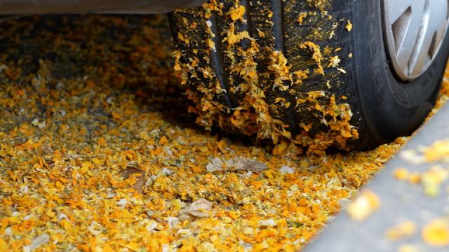 El PSOE reclama un refuerzo urgente de la limpieza y una mejor coordinación municipal ante la acumulación de restos vegetales en la vía pública El PSOE reclama un refuerzo urgente de la limpieza y una mejor coordinación municipal ante la acumulación de restos vegetales en la vía pública