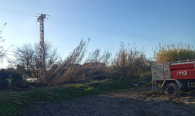 Incendio de cañas con afectación a una línea de media tensión en Ceutí Incendio de cañas con afectación a una línea de media tensión en Ceutí