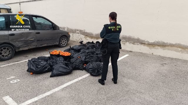 La Guardia Civil detiene a los dos presuntos autores de la sustracción de fruta en una finca de Campos del Río La Guardia Civil detiene a los dos presuntos autores de la sustracción de fruta en una finca de Campos del Río
