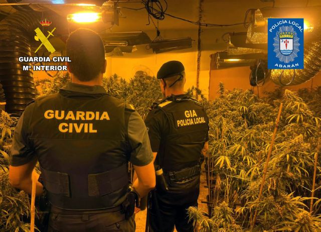 Desmantelan un invernadero indoor de marihuana en Abarán Desmantelan un invernadero indoor de marihuana en Abarán