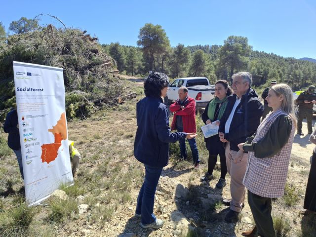 El Gobierno regional impulsa en Cehegín una acción piloto para adaptar los pinares al cambio climático y reducir el riesgo de incendios El Gobierno regional impulsa en Cehegín una acción piloto para adaptar los pinares al cambio climático y reducir el riesgo de incendios