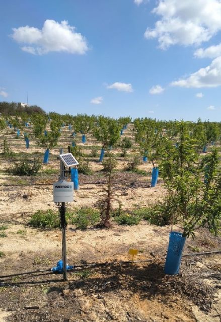 La Comunidad impulsa la mejora del regadío en Abanilla con un sistema de monitorización en tiempo real La Comunidad impulsa la mejora del regadío en Abanilla con un sistema de monitorización en tiempo real