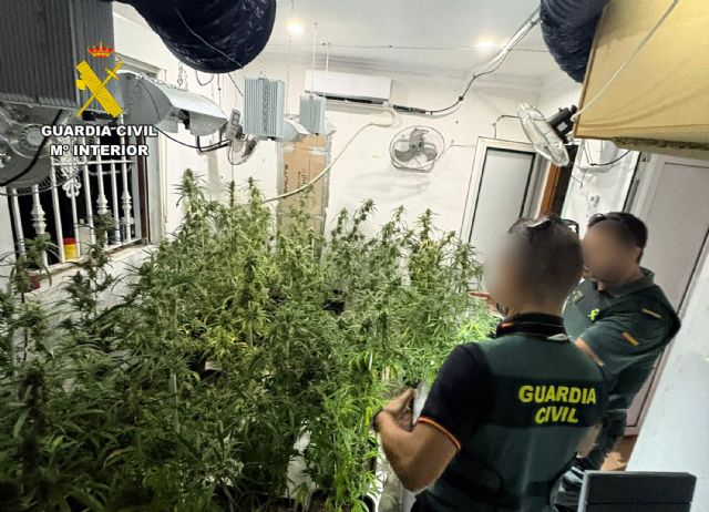 La Guardia Civil desmantela en Abanilla un grupo delictivo que cultivaba gran cantidad de marihuana La Guardia Civil desmantela en Abanilla un grupo delictivo que cultivaba gran cantidad de marihuana