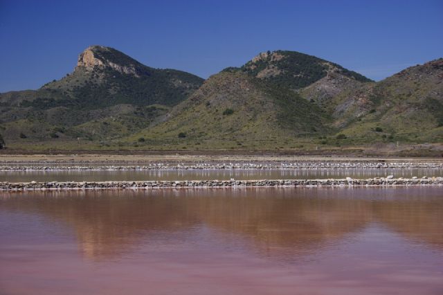 Medio Ambiente desarrolla un tratamiento biológico para dípteros en Las Salinas del Rasall Medio Ambiente desarrolla un tratamiento biológico para dípteros en Las Salinas del Rasall