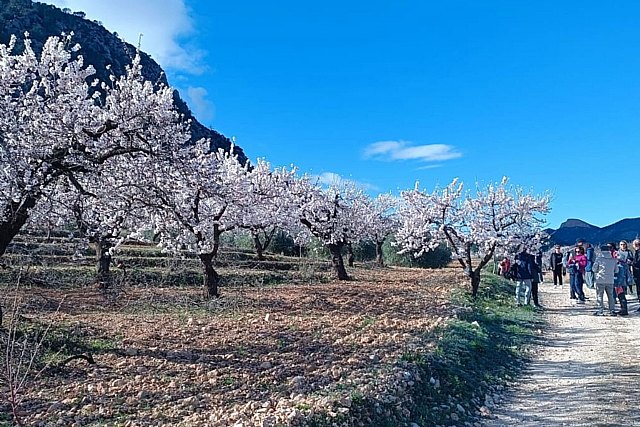 MulaFlor 2026 cierra su edición tras dos meses de actividad con un impacto económico cercano a los a los 2 millones de euros en su territorio MulaFlor 2026 cierra su edición tras dos meses de actividad con un impacto económico cercano a los a los 2 millones de euros en su territorio