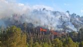 Conato de incendio forestal en la Sierra de San Miguel, en Calasparra