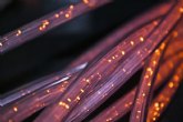 El Gobierno destina ms de 3,5 millones de euros a la Regin de Murcia para culminar la extensin de las redes fijas de banda ancha por fibra