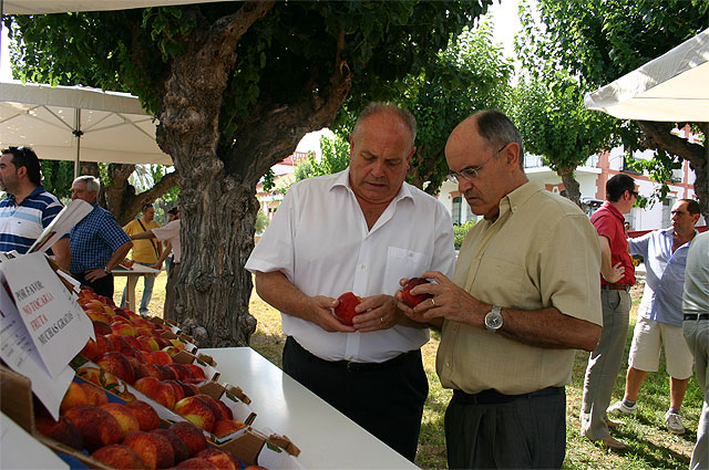 Agricultura muestra a técnicos y agricultores nuevas variedades de melocotón y nectarina - 1, Foto 1