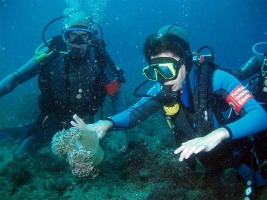 La Azohía se convierte durante unos días en la capital del buceo para discapacitados - 1, Foto 1