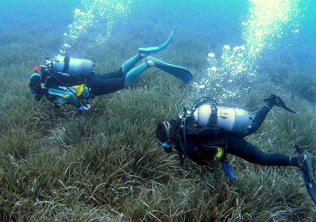 ANSE pide a la Comunidad Autónoma un mayor control de la flota de arrastre - 1, Foto 1