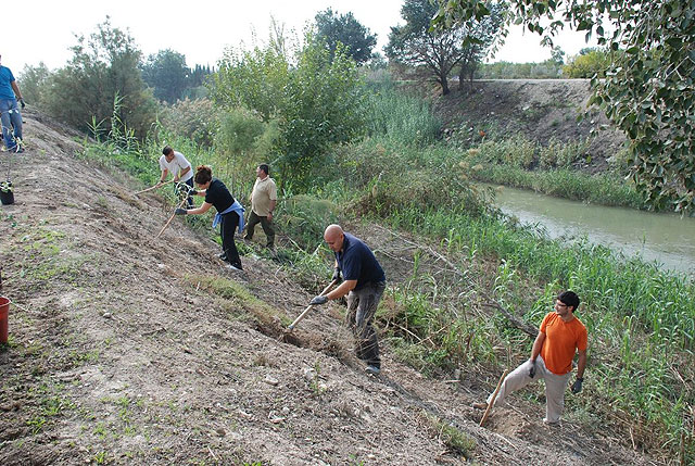 Una veintena de voluntarios ambientales participan en la plantación de árboles autóctonos de ribera en el paraje del Soto de Los Álamos, a orillas del Río Segura - 4, Foto 4