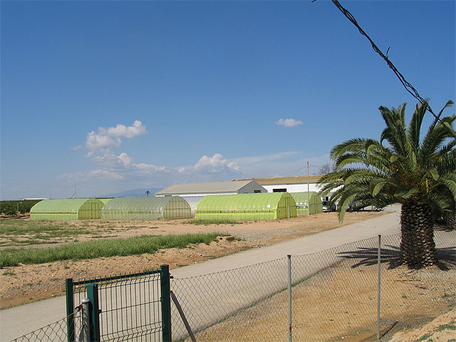 Agricultura investiga cómo reducir la temperatura en el interior de los invernaderos con materiales antitérmicos - 2, Foto 2