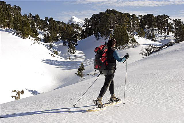 Los Pirineos de Navarra, uno de los mayores atractivos en invierno para los murcianos - 1, Foto 1