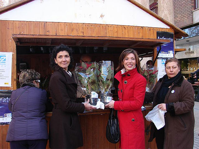 La Asociación de Alzheimer vende flores de pascua en una caseta benéfica de la Alameda de la Constitución - 1, Foto 1