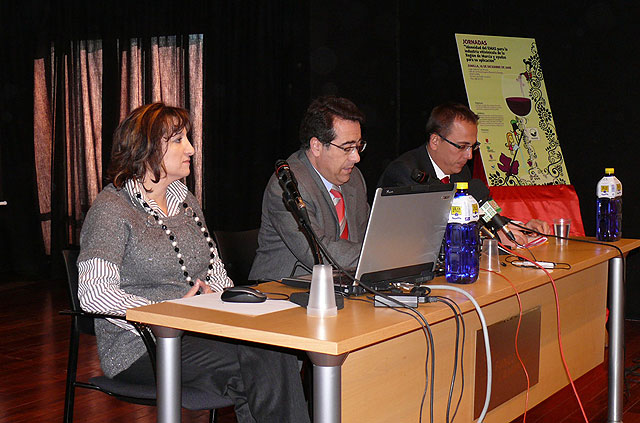 Jumilla acoge la celebración de unas jornadas sobre la idoneidad del sistema EMAS para la Industria vitivinícola - 1, Foto 1