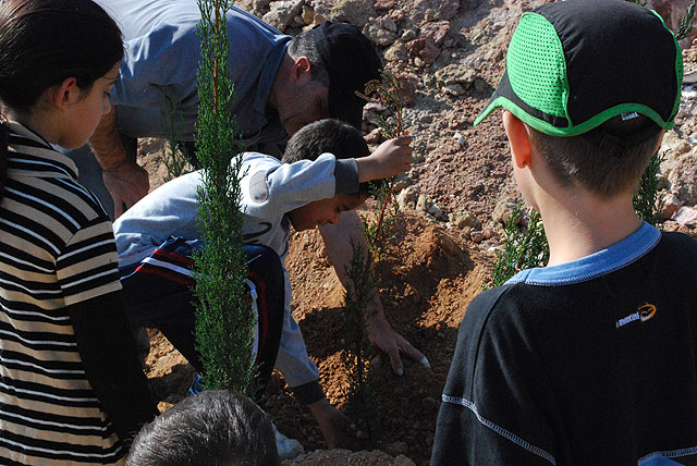 Reforestación de árboles en el colegio San José Artesano - 3, Foto 3