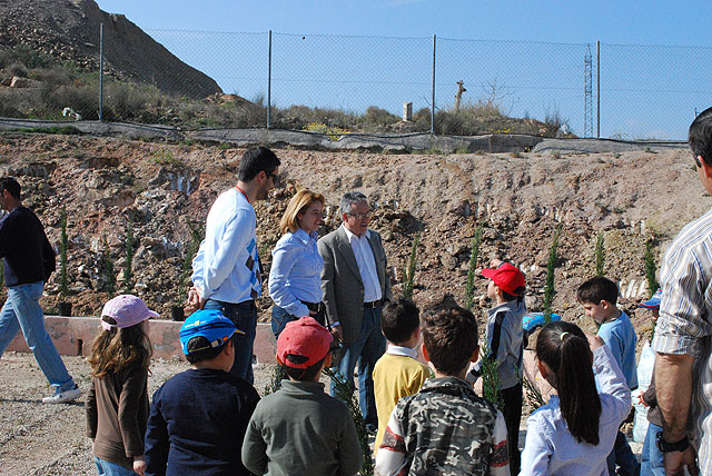 Reforestación de árboles en el colegio San José Artesano - 5, Foto 5