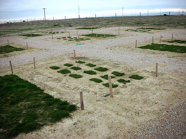 La Consejería de Agricultura estudia el aprovechamiento de aguas residuales depuradas para el riego de zonas verdes y deportivas - 1, Foto 1