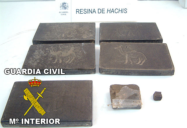 La Guardia Civil desmantela un importante punto de distribución y venta de droga - 1, Foto 1