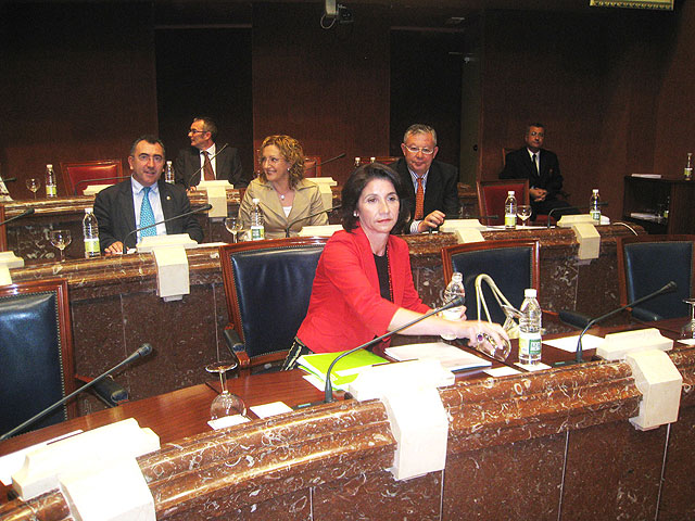 Inmaculada García destaca la aportación del Plan de Desarrollo de la Sociedad de la Información “al progreso empresarial y bienestar social” - 1, Foto 1