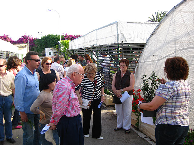 Un centenar de personas aprende jardinería y participa en el concurso de balcones - 2, Foto 2