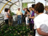 Un centenar de personas aprende jardinera y participa en el concurso de balcones