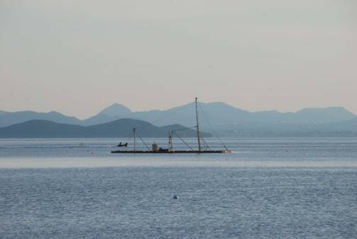 ANSE pide que se retiren las embarcaciones abandonadas y semihundidas en el Mar Menor - 2, Foto 2