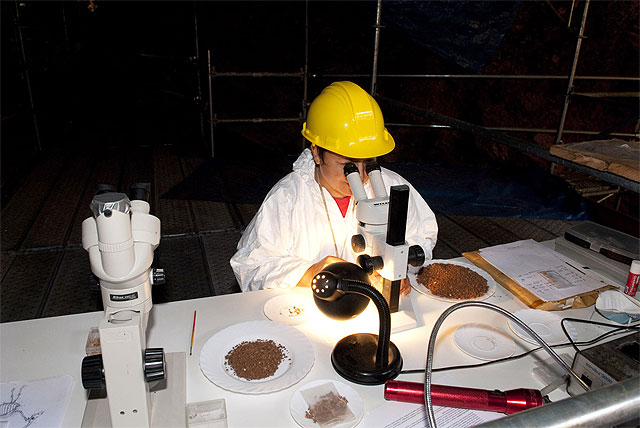 La Cueva Victoria podrá ser visitable e incorporada a los recursos turísticos de Cartagena - 5, Foto 5