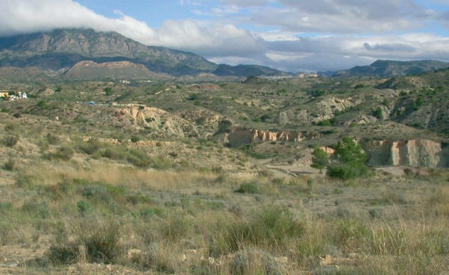 La imagen muestra una zona de alta conectividad entre el paraje de Yesos de Ulea y la Sierra de la Pila, situada al fondo, Foto 1